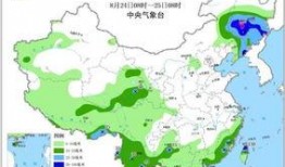 苏力在哪里爆料的视频啊,幕后真相大公开