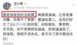 汪小菲豆瓣爆料最新消息,揭秘娱乐圈惊人内幕！”