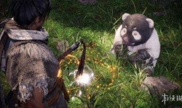 卧龙苍天陨落爆料视频