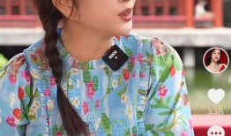 刘晓庆最新爆料视频播放,娱乐圈背后惊人内幕