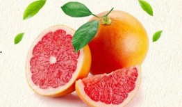 柚子爸爸的新爆料视频,惊人内幕曝光！